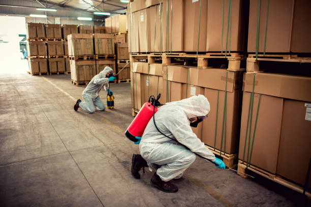 Best Pest Control for Businesses  in Breezy Point, MN