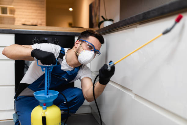 Best Mosquito Control Services  in Breezy Point, MN