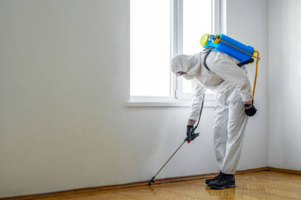 Best Local Pest Control Services  in Breezy Point, MN