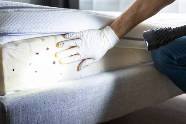 Best Pest Control for Restaurants  in Breezy Point, MN