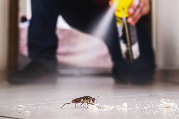 Best Cockroach Control Services  in Breezy Point, MN