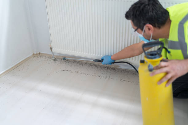 Best Exterminator Services  in Breezy Point, MN