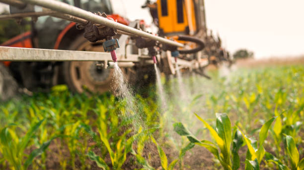 Best Mosquito Control Services  in Breezy Point, MN