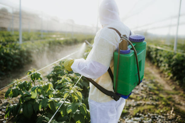 Best Flea Control Services  in Breezy Point, MN